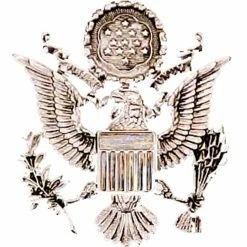 Best reviews of 🤩 Other Brands Air Force Cap Device, Officer Female ⌛