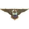 New 😍 Ira Green, Inc Air Force Officer Inter-American Academy Badge Non-Subdued, Pin-on, Regular Size 😀 -Deals military Store unnamed file 314