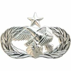 Best deal 😀 Other Brands Air Force Senior Logistics Readiness Badge, Mirror Finish, Regular Size 😍