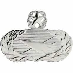 Budget 🥰 Other Brands Air Force Master Historian Badge, Mirror Finish, Regular Size 🤩