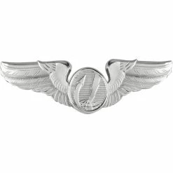 Budget 🧨 Other Brands Air Force Basic Remotely Piloted Aircraft (RPA) Badge, Mirror Finish, Regular Size 😉