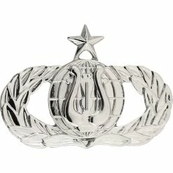 Coupon ✔️ Ira Green, Inc Air Force Badge Band Senior Brite Midsize Pin-on 🎉